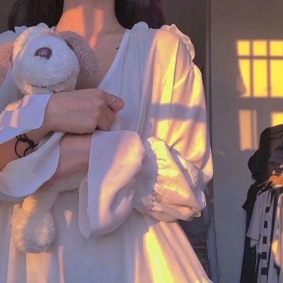 神奇动物在哪里